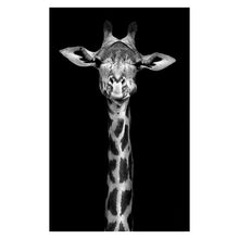 Load image into Gallery viewer, Canvas Painting Animal Wall Art Lion Elephant Deer Zebra Posters and Prints Wall Pictures for Living Room Decoration Home Decor - Larry's Anything Goes