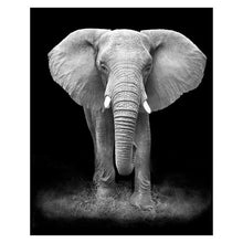 Load image into Gallery viewer, Canvas Painting Animal Wall Art Lion Elephant Deer Zebra Posters and Prints Wall Pictures for Living Room Decoration Home Decor - Larry's Anything Goes