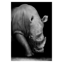 Load image into Gallery viewer, Canvas Painting Animal Wall Art Lion Elephant Deer Zebra Posters and Prints Wall Pictures for Living Room Decoration Home Decor - Larry's Anything Goes
