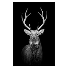 Load image into Gallery viewer, Canvas Painting Animal Wall Art Lion Elephant Deer Zebra Posters and Prints Wall Pictures for Living Room Decoration Home Decor - Larry's Anything Goes