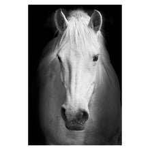 Load image into Gallery viewer, Canvas Painting Animal Wall Art Lion Elephant Deer Zebra Posters and Prints Wall Pictures for Living Room Decoration Home Decor - Larry's Anything Goes
