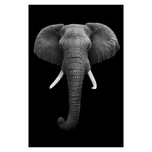 Load image into Gallery viewer, Canvas Painting Animal Wall Art Lion Elephant Deer Zebra Posters and Prints Wall Pictures for Living Room Decoration Home Decor - Larry's Anything Goes