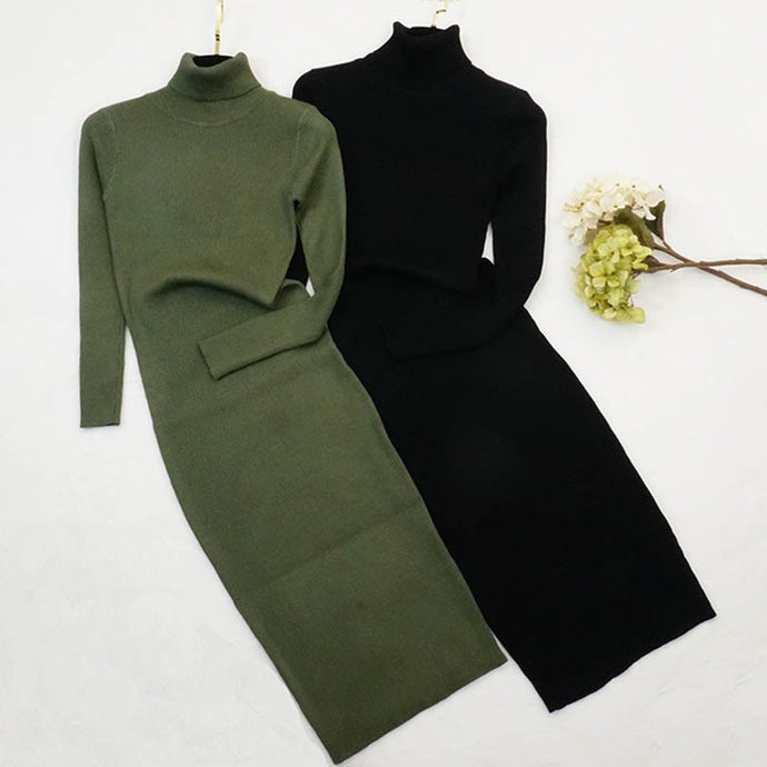 New Autumn Winter Women Knitted Dress Turtleneck Sweater Dresses Lady Slim Bodycon Long Sleeve Bottoming Dress Vestidos PP003 - Larry's Anything Goes