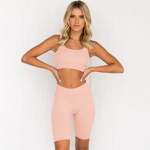 Seamless Sport Set Women Bra And Short Pants Sportswear 2 Piece Workout Outfit Active Fitness Suit Yoga Gym Sets Gym Clothes - Larry's Anything Goes